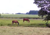 DSCN0416.jpg